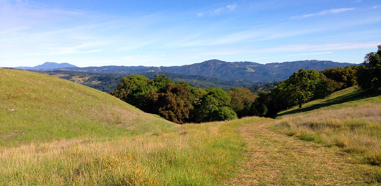 View from the Umbrella Tree Trail, North Sonoma Mountain Regional Park and Preserve