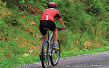 Cyclist on Trail