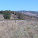 Copeland Creek Trail alignment 75