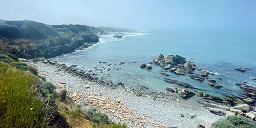 View of the coastline from the Bluff Top Trail