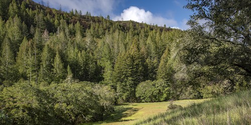 Calabazas Creek Regional Park and Open Space Preserve