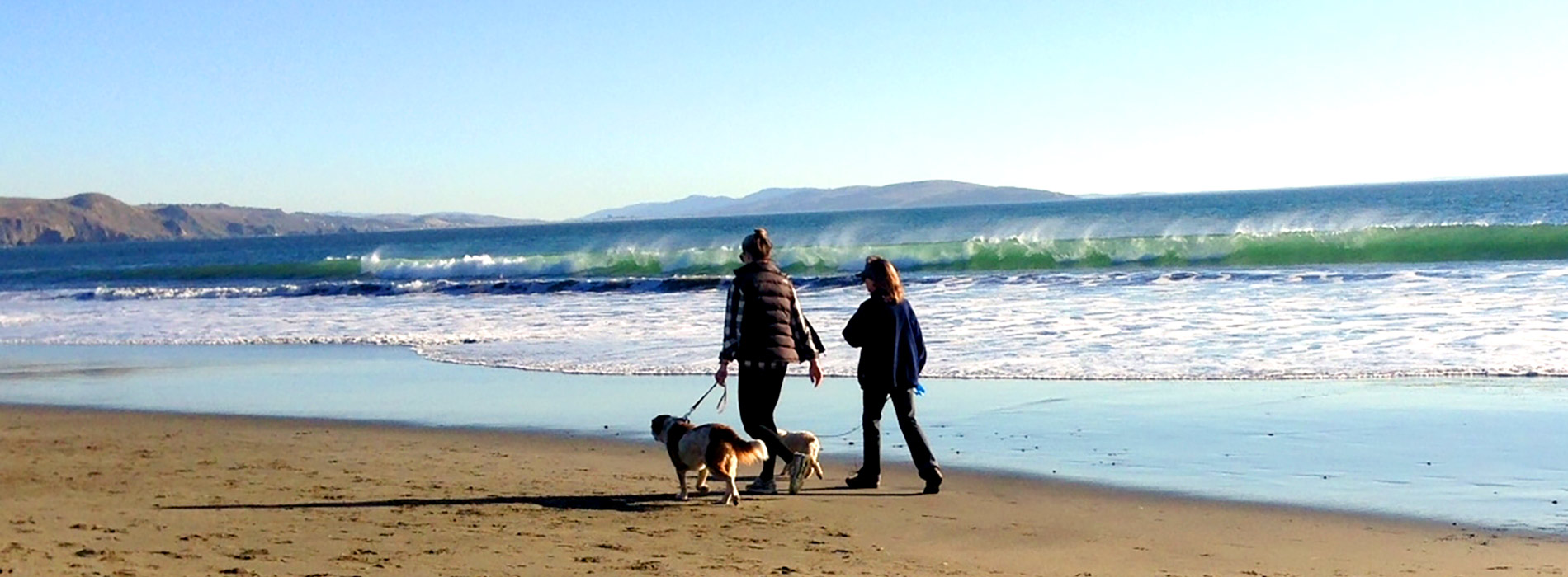 Walking dogs on Doran beach
