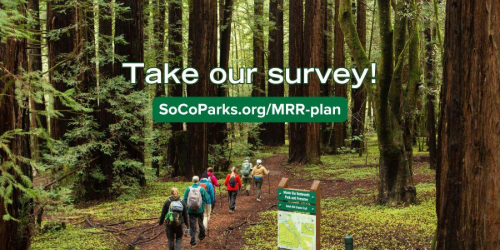 Group hiking through Monte Rio Redwoods Regional Park