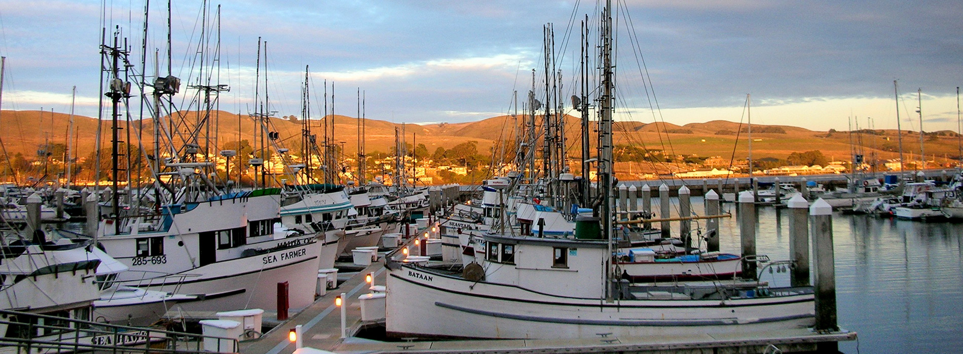 Spud Point Marina
