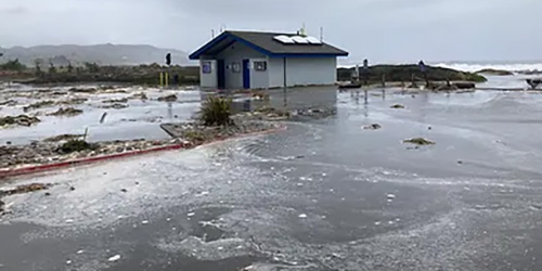 Coastal flooding at Cypress parking area in Doran Regional Park