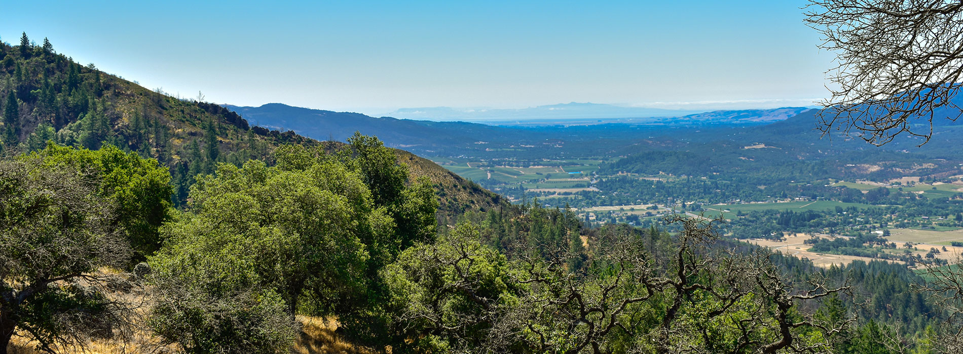 View of Sonoma Valley from the Lawson Trail at Hood Mountain Regional Park and Open Space Preserve
