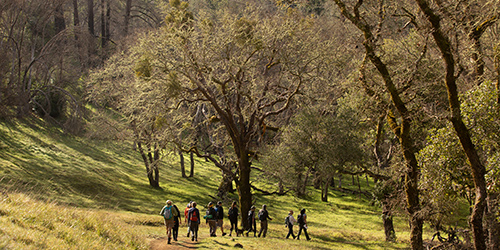 Hikers at Mark West Regional Park and Open Space Preserve