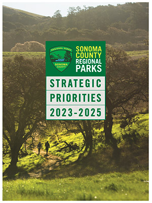 Strategic Priorities document cover image