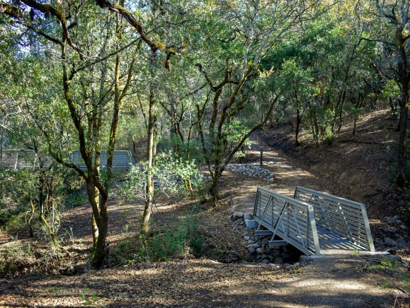 Footbridge along a shaded forest trail in Taylor Mountain Regional Park, crossing a seasonal creek under a canopy of oak trees.
