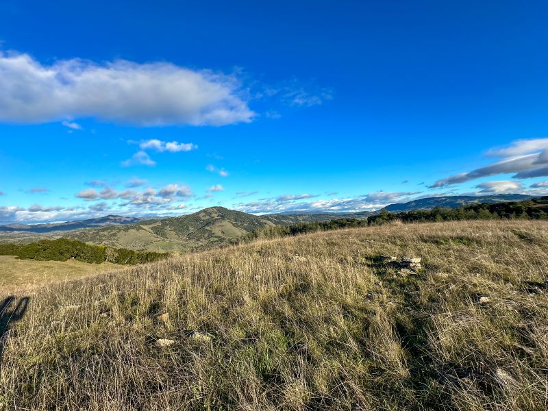 Panoramic view from East Knoll at Taylor Mountain Regional Park, showing grassy ridgelines and distant hills under a bright blue sky