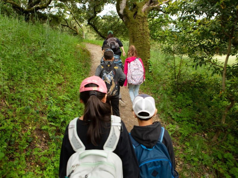 Hiking group of kids on field trip