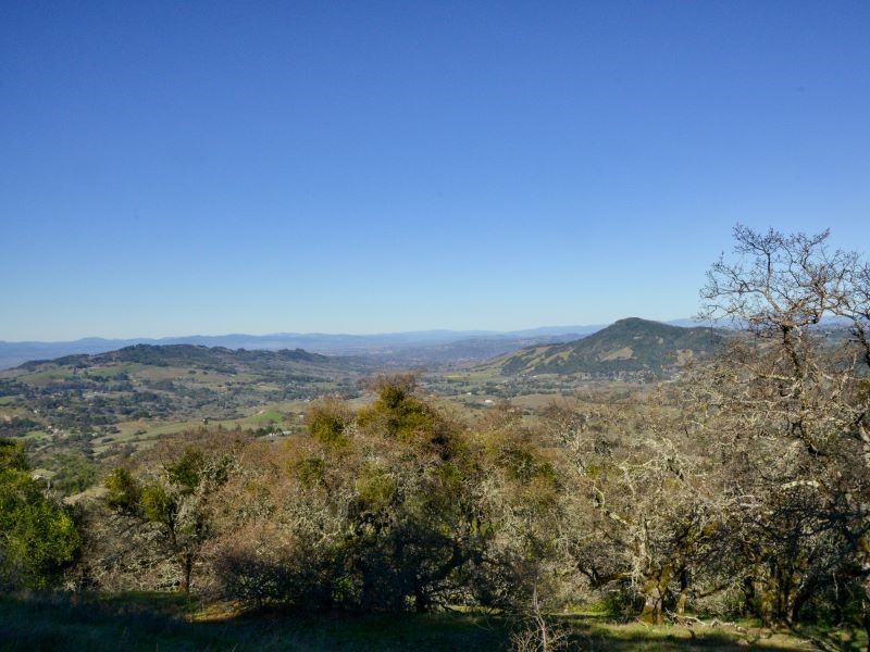 View of forested mountains and valley as seen from the Bennett Valley Overlook