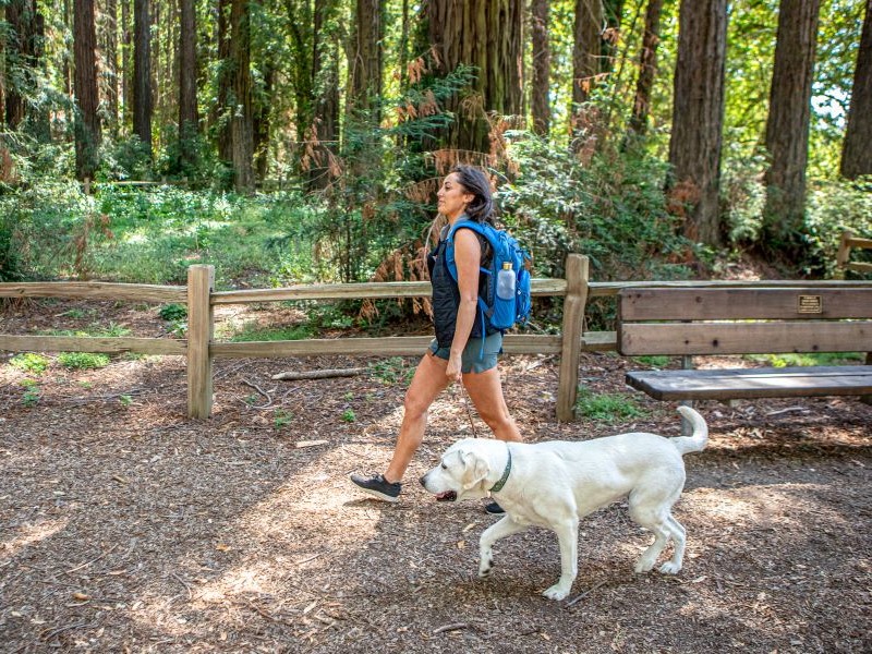 woman walking dog on leash