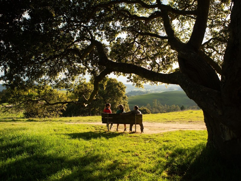 Group on park bench 