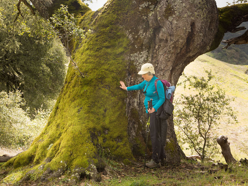 A woman leans against a large oak tree