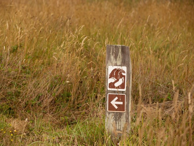 Trail sign surrounded by grass showing arrow pointing and icon of wave and footprints