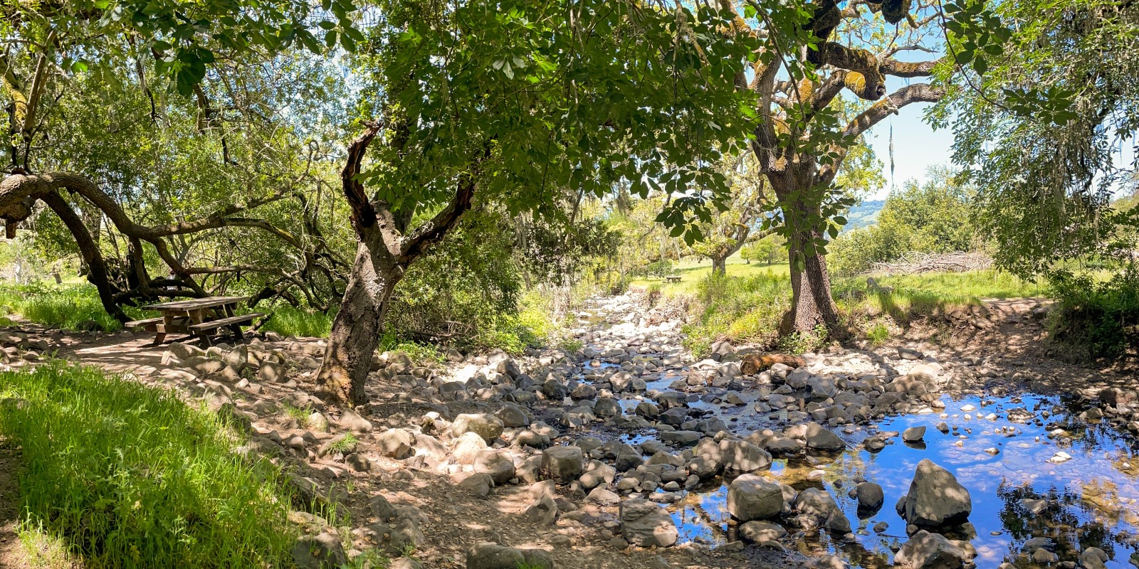 Picnic table under oaks next to creek