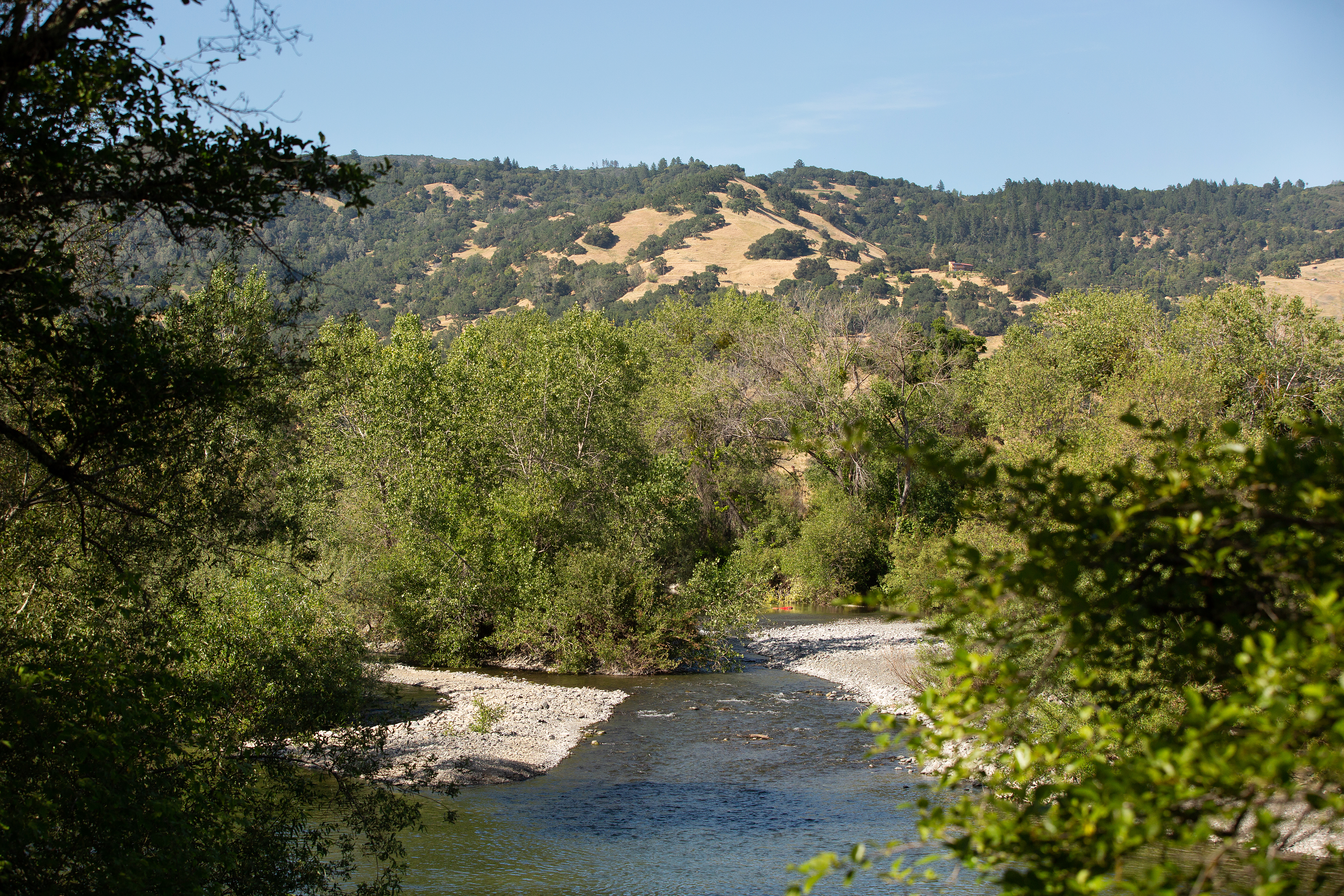 river view at cloverdale river park