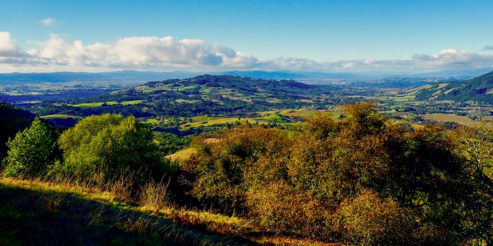 Views from trail at North Sonoma Mountain Regional Park and Open Space Preserve