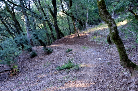 Ridge Trail at North Sonoma Mountain