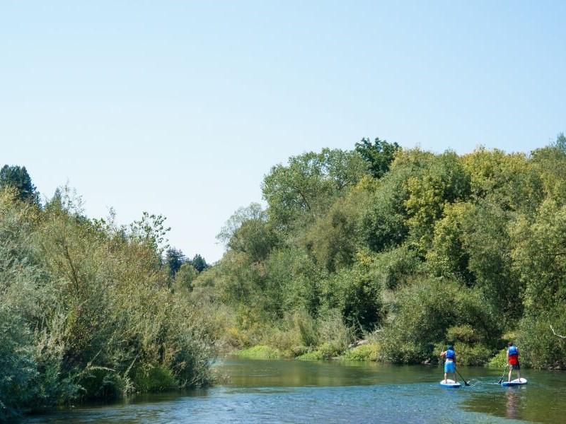Two people paddle on a river with green plants and trees on either side