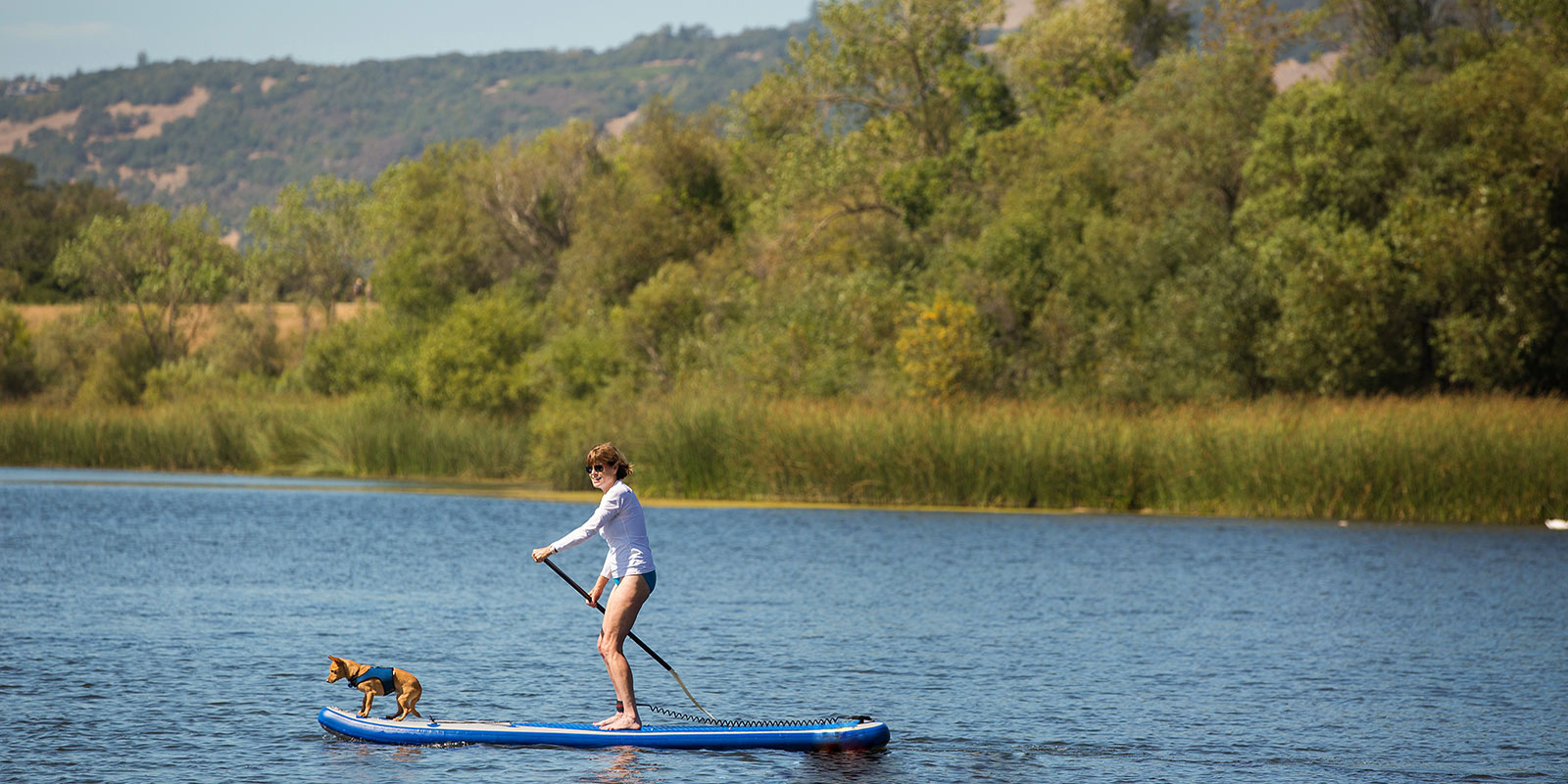 Woman and Dog Paddleboarding on Spring Lake