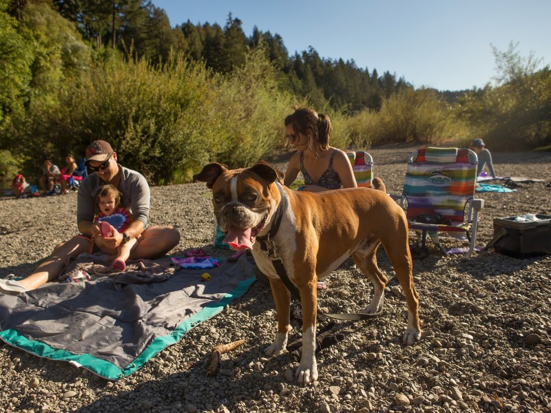 Family and dog at Sunset Beach