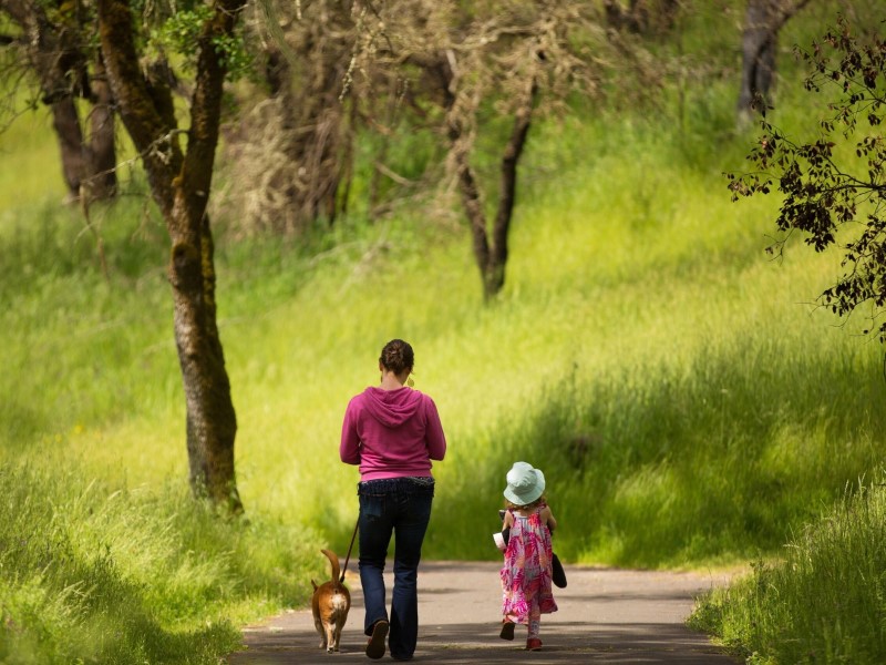 Family walking at Sonoma Valley Regional Park