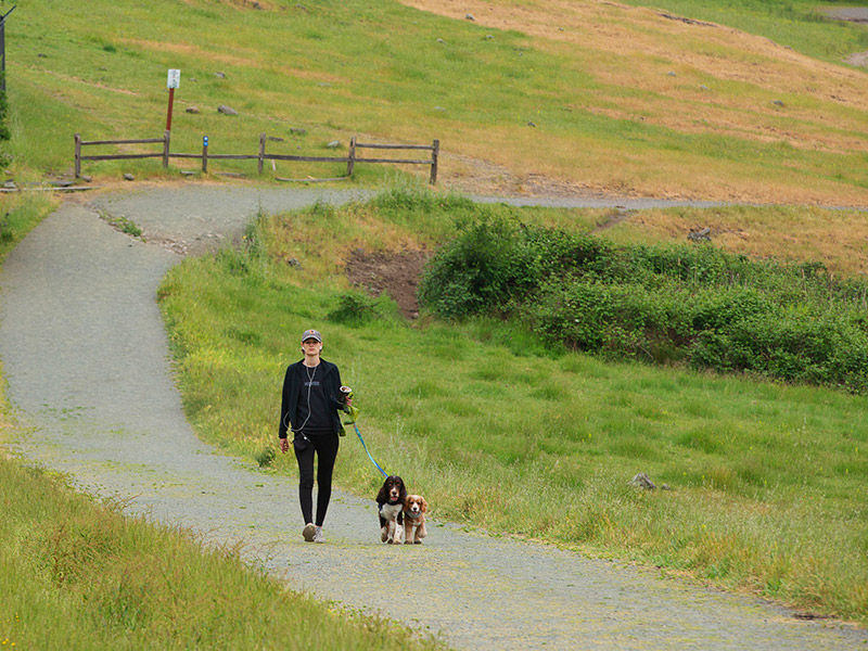 Park visitor carrying a dog waste bag at Taylor Mountain Regional Park