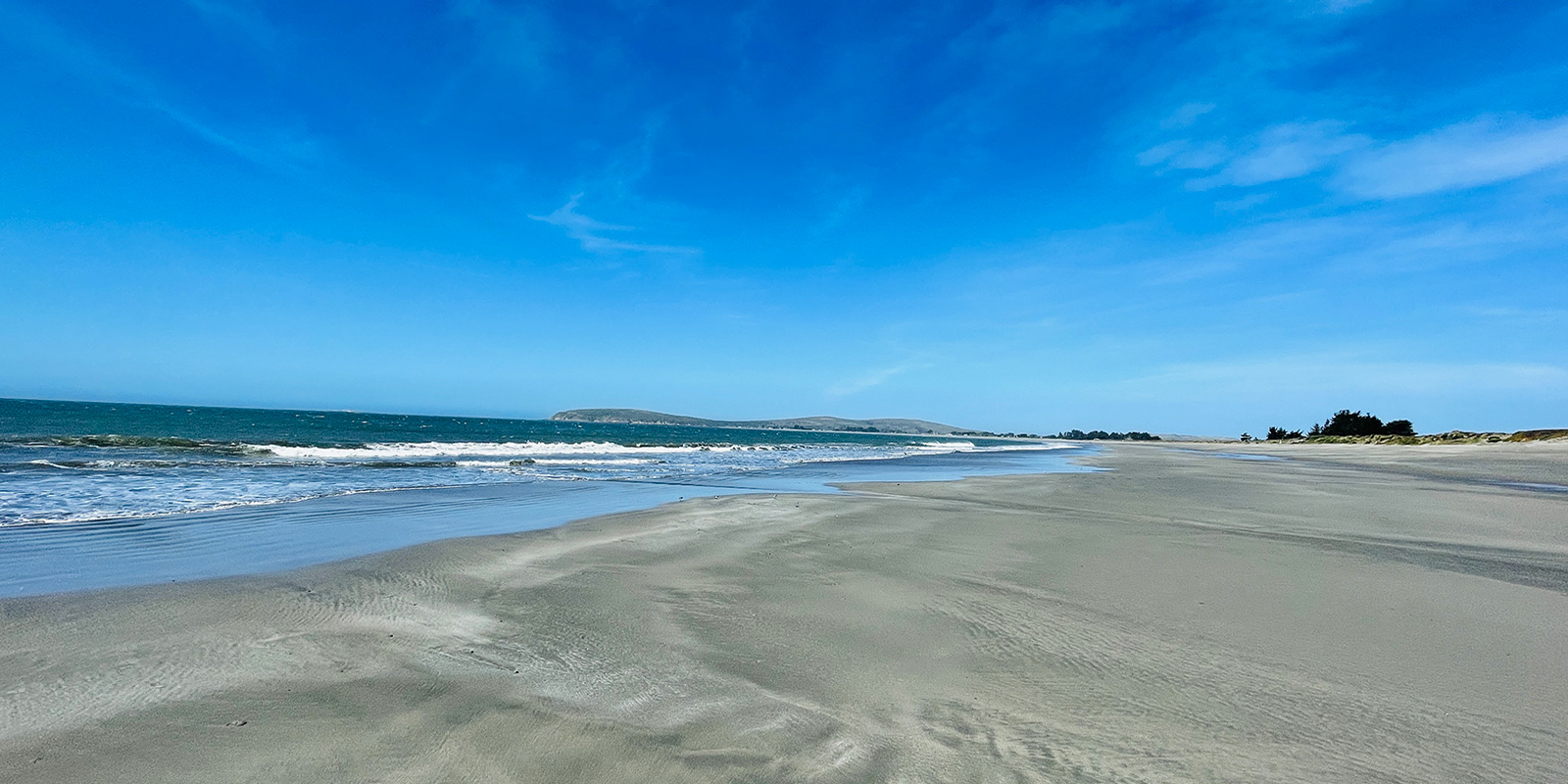 Blue skies at Doran Regional Park