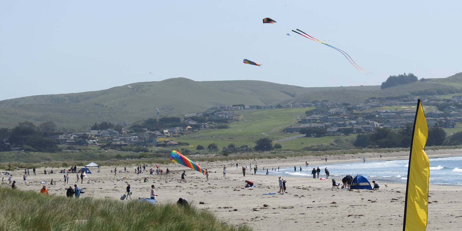 Multi-colored kites flying above Doran Beach on a clear day