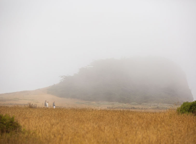 Hikers walk through coastal meadow shrouded in fog