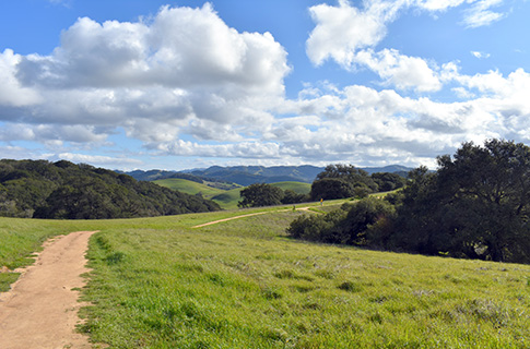 Helen Putnam spring hills