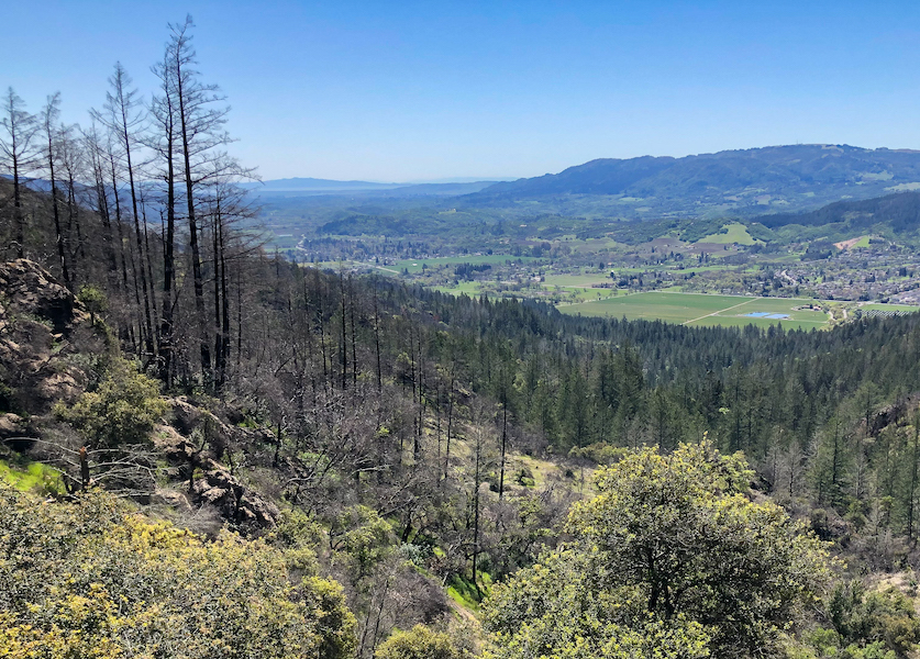 View of Sonoma Valley from the Lawson Trail