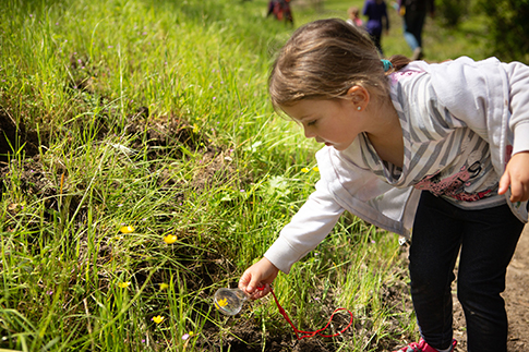 Child looking at wildflowers at Crane Creek Regional Park