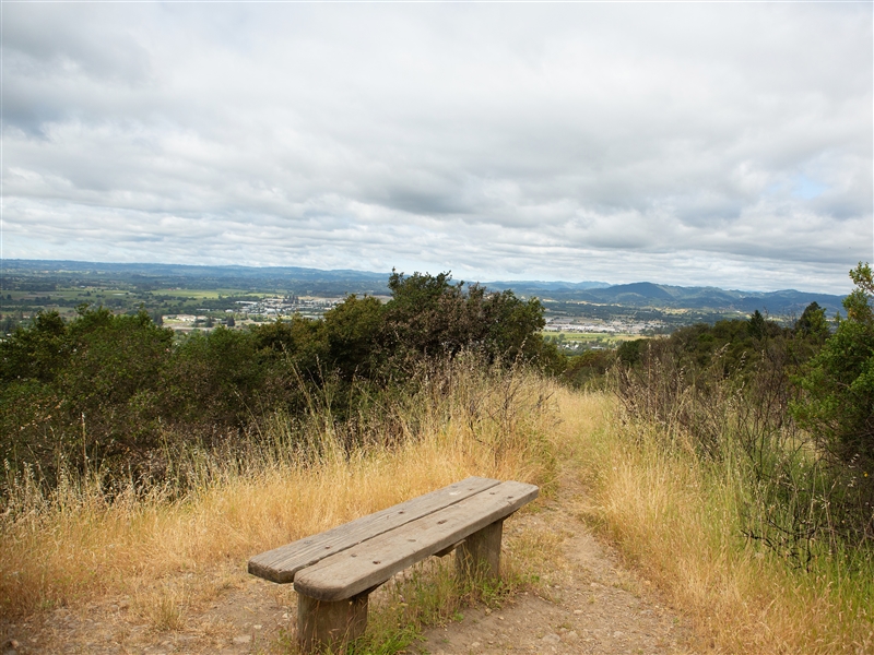 bench and view at Shiloh Ranch Regional Park