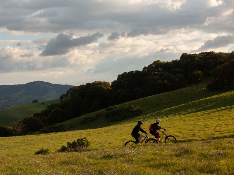 two mountain bikers ride through green grass and oaks at Helen Putnam Regional Park