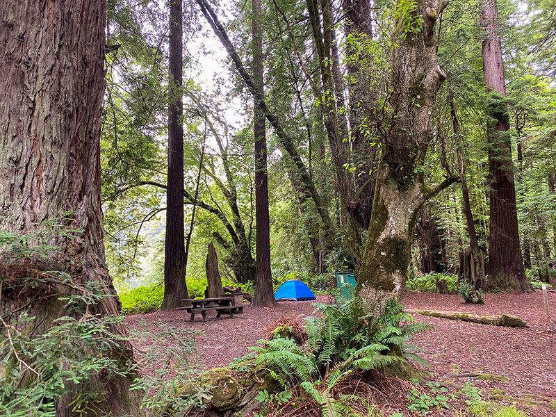 Camping on Sonoma County’s North Coast: An insider's guide to ...