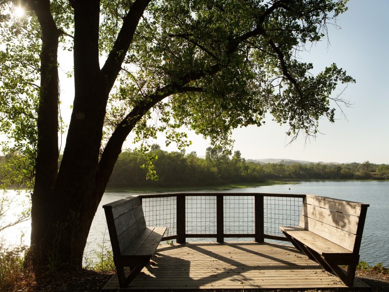 Bench overlooking lake benoist