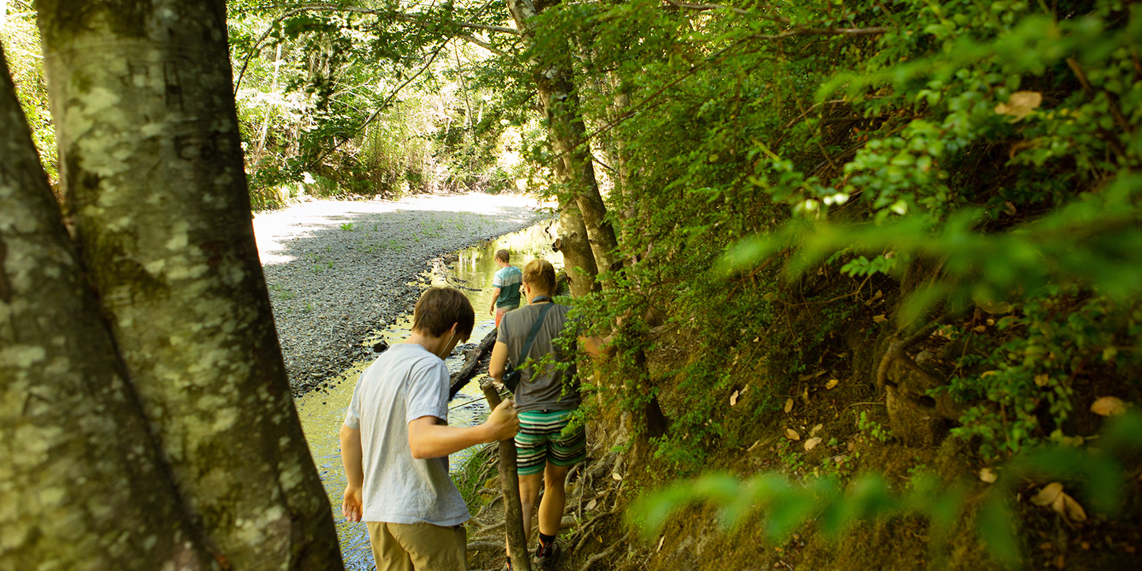 Top 10 Hikes and Walks in Sonoma County