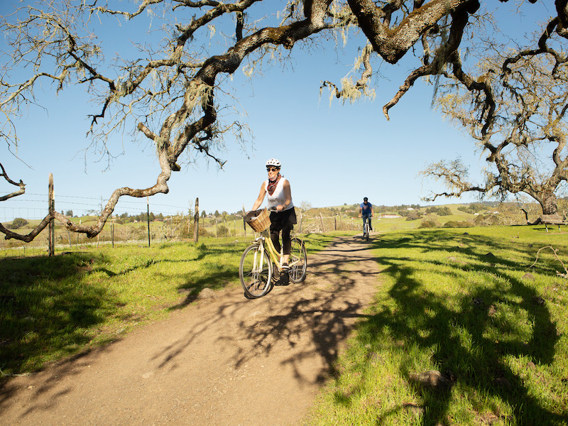 A couple rides bikes under an oak tree