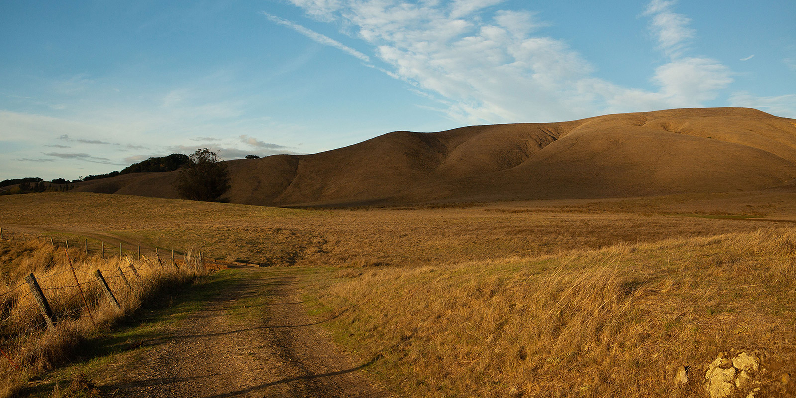 Tolay Lake Regional Park in the fall