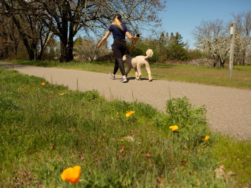 woman walking dog on west county trail