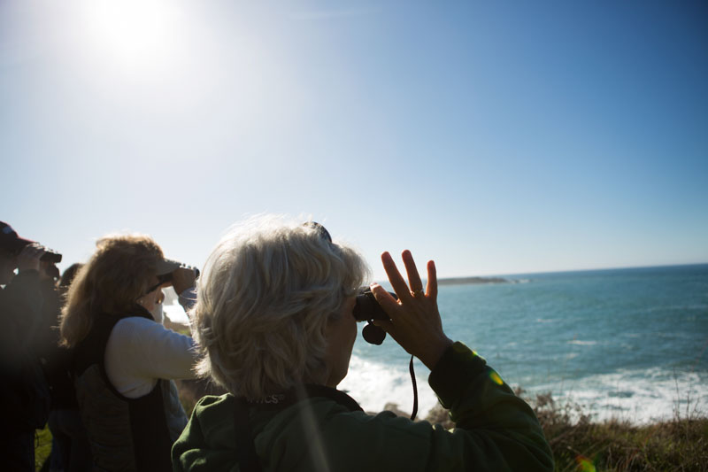 woman looking through binoculars at the ocean