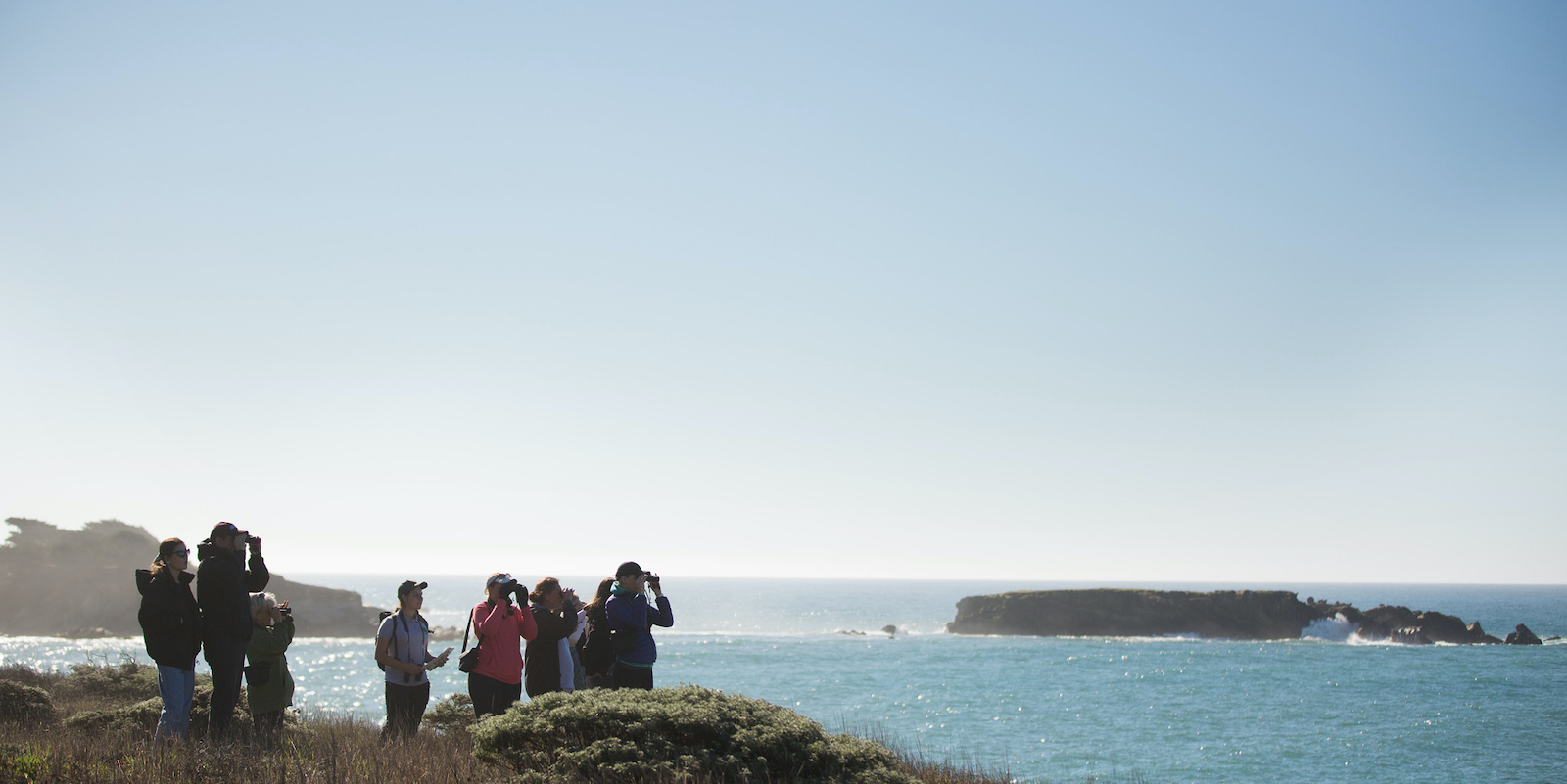 Group watching whales at Gualala Point Regional Park