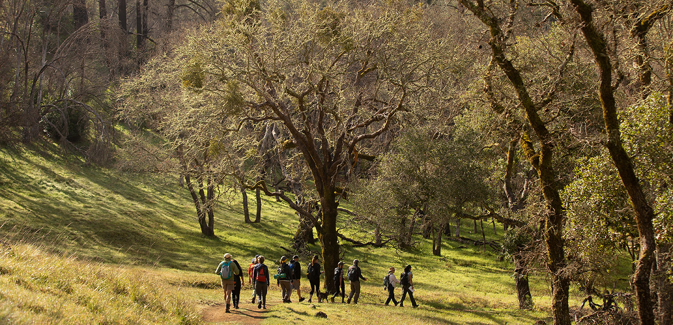 Mark West Creek Regional Park and Open Space Preserve