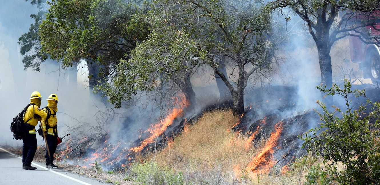 Prescribed burn at Sonoma Valley Regional Park