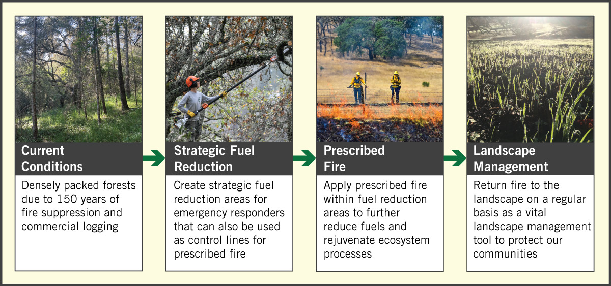 Prescribed fire in our parks