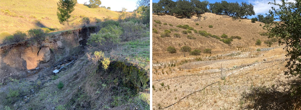 Shiloh Ranch restoration - before and after
