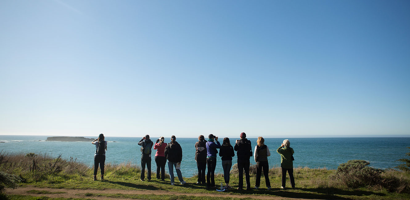 Gualala Point Regional Park - Whale Watching